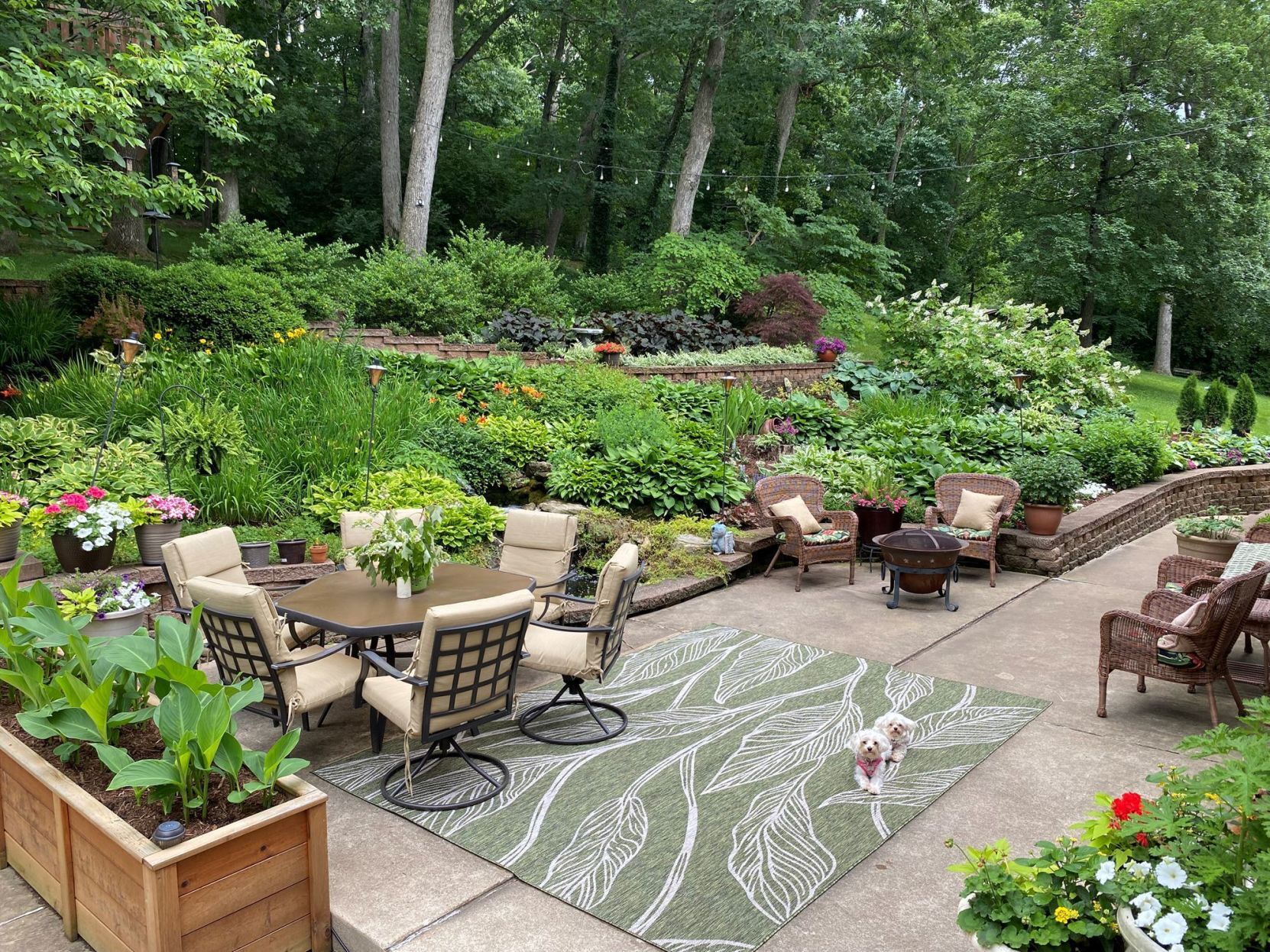 Mark's Backyard Bliss